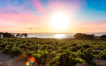 Herverkoop - Bungalow -
Torrevieja - La Siesta - El Salado - Torreta