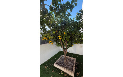 Revente - Maison mitoyenne -
Torrevieja - Aguas Nuevas