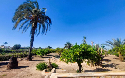 Revente - Maison de campagne -
La Marina - Costa Blanca