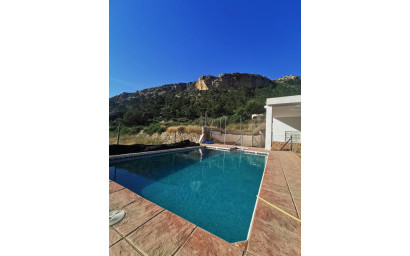 Resale - Finca - Country Property -
Crevillente
