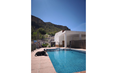 Resale - Finca - Country Property -
Crevillente
