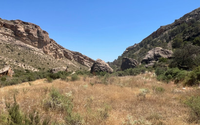 Resale - Finca - Country Property -
Crevillente