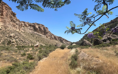 Resale - Finca - Country Property -
Crevillente
