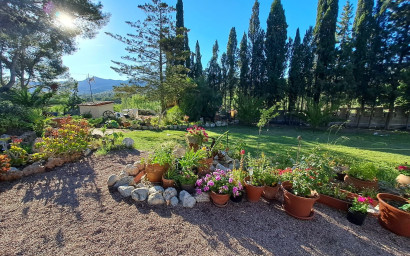 Resale - Finca - Country Property -
Sax