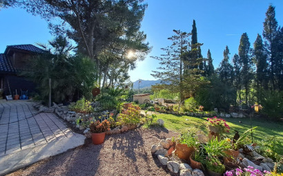 Resale - Finca - Country Property -
Sax
