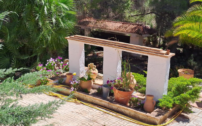 Resale - Finca - Country Property -
Sax