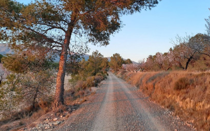 Resale - Finca - Country Property -
Sax