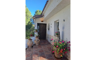Resale - Finca - Country Property -
Sax