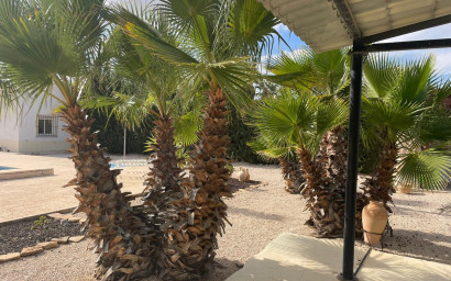 Revente - Maison de campagne -
Abanilla
