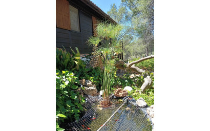 Resale - Finca - Country Property -
Sax