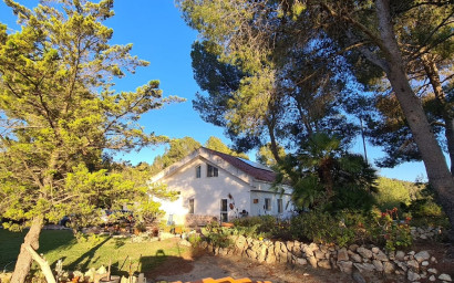 Resale - Finca - Country Property -
Sax