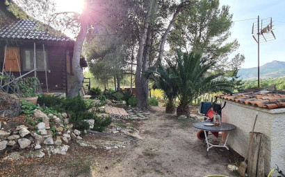 Resale - Finca - Country Property -
Sax