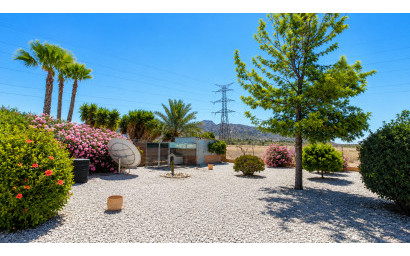 Revente - Villa -
Macisvenda