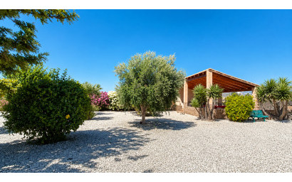 Revente - Villa -
Macisvenda