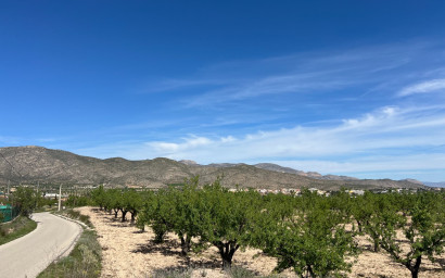 Revente - Terrain -
Hondón de los Fráiles