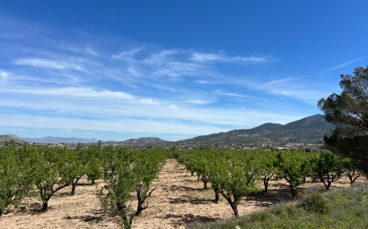 Revente - Terrain -
Hondón de los Fráiles