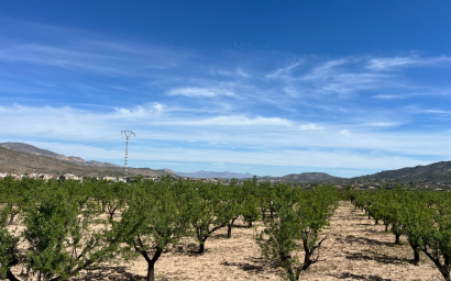 Revente - Terrain -
Hondón de los Fráiles