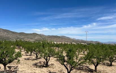 Revente - Terrain -
Hondón de los Fráiles