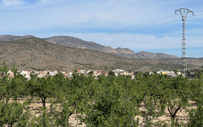 Revente - Terrain -
Hondón de los Fráiles