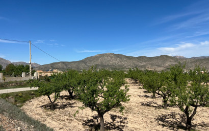 Revente - Terrain -
Hondón de los Fráiles