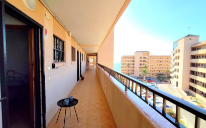 Herverkoop - Plat -
La Mata