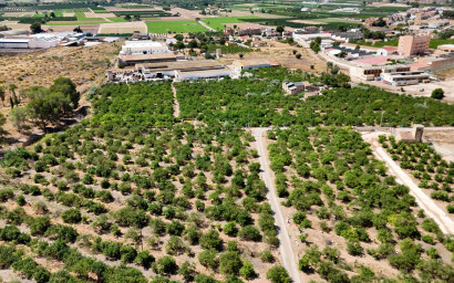 Resale - Finca - Country Property -
Orihuela