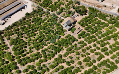 Resale - Finca - Country Property -
Orihuela