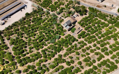 Resale - Finca - Country Property -
Orihuela