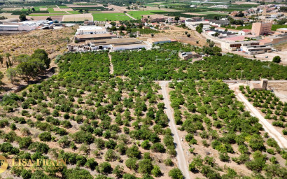 Resale - Finca - Country Property -
Orihuela