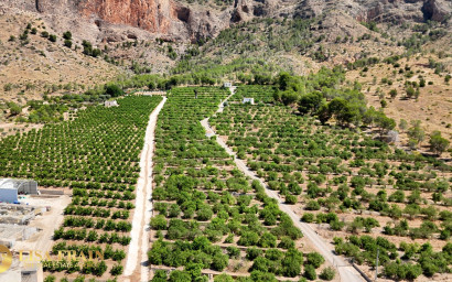 Resale - Finca - Country Property -
Orihuela