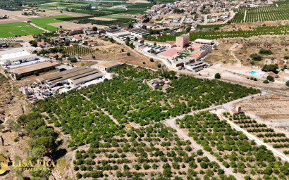 Resale - Finca - Country Property -
Orihuela