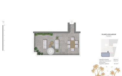 Nouvelle construction - Penthouse -
Guardamar del Segura