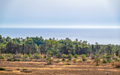 Resale - Penthouse -
Punta Prima