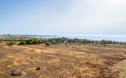 Resale - Penthouse -
Punta Prima