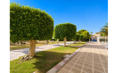 Herverkoop - Penthouse -
La Zenia