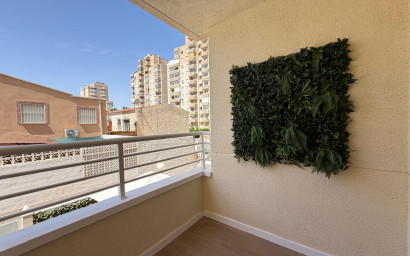 Herverkoop - Plat -
Torrevieja - Nueva Torrevieja