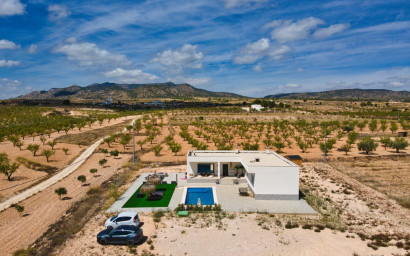 Revente - Villa -
Pinoso - Inland