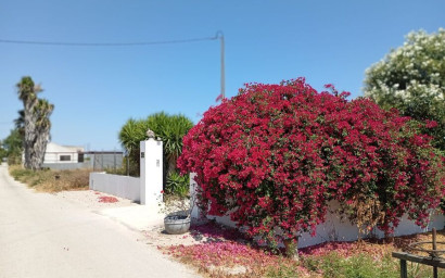 Resale - Finca - Country Property -
Daya Nueva - Costa Blanca