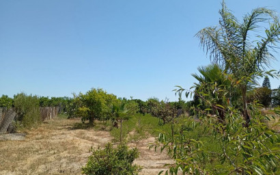Resale - Finca - Country Property -
Daya Nueva - Costa Blanca