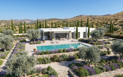Nieuwbouw - Villa -
Pinoso - Casas Pastor