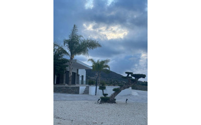 Nieuwbouw - Villa -
Pinoso - Casas Pastor