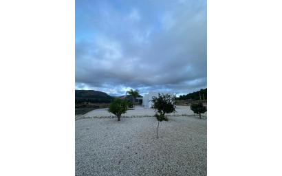Nieuwbouw - Villa -
Pinoso - Casas Pastor