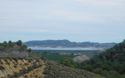 Resale - Finca - Country Property -
Torremendo