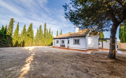 Nieuwbouw - detached -
Fuente Álamo - Fuente Alamo