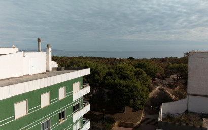 New Build - ground-floor -
Guardamar del Segura