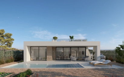 New Build - detached -
Hacienda del Alamo Golf