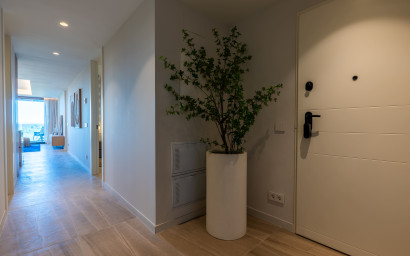 Nouvelle construction - ground-floor -
Guardamar del Segura