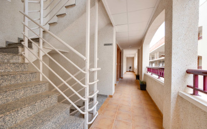Nouvelle construction - Appartement -
San Fulgencio