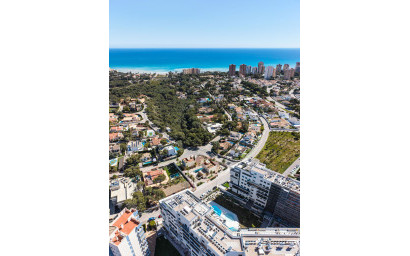 Nouvelle construction - Villa -
Dehesa de Campoamor
