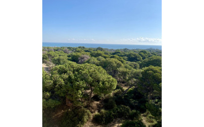 Nouvelle construction - Appartement -
Guardamar del Segura